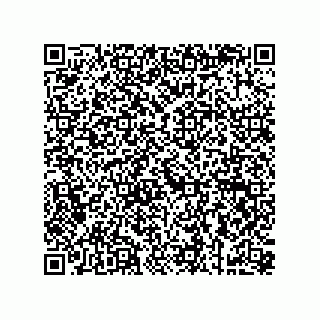 vCard 73853125333