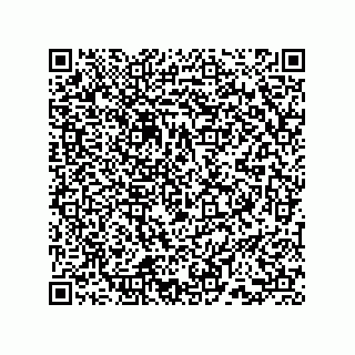 vCard 73853125339