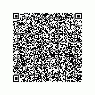 vCard 73853125385