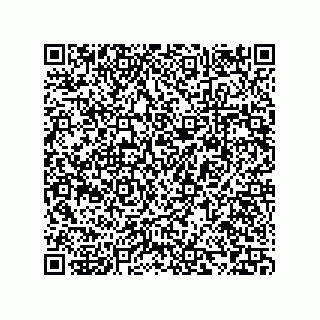 vCard 73853231325