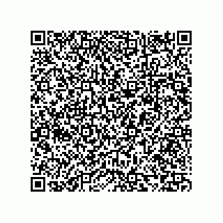 vCard 73853231334