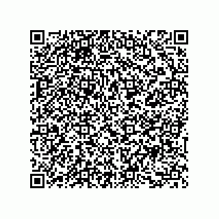 vCard 73853233009
