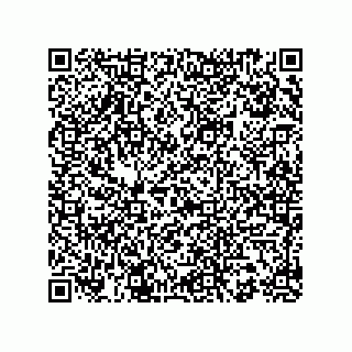 vCard 73853267291