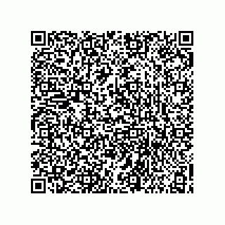 vCard 73853267313