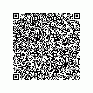 vCard 73853267335