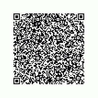 vCard 73853267393