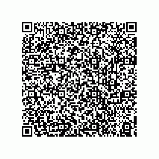 vCard 73853279331