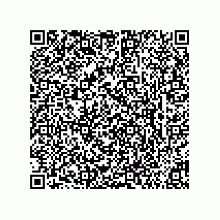 vCard 73853427333