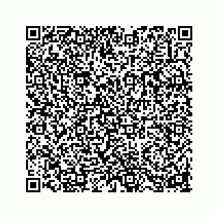 vCard 73853928133
