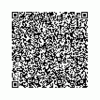 vCard 73853928334