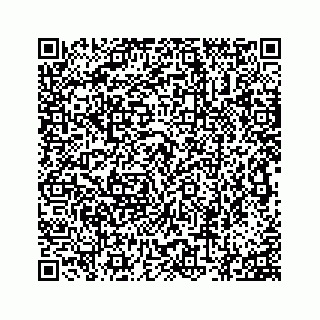 vCard 73853928335