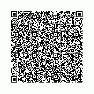 vCard 73853928379