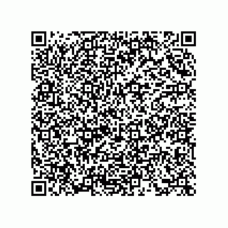 vCard 73855333206