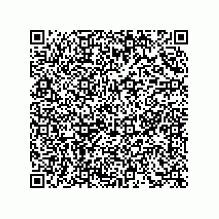 vCard 73855340380