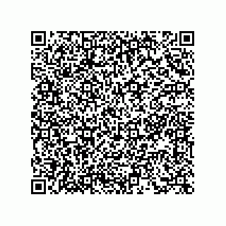 vCard 73855341313