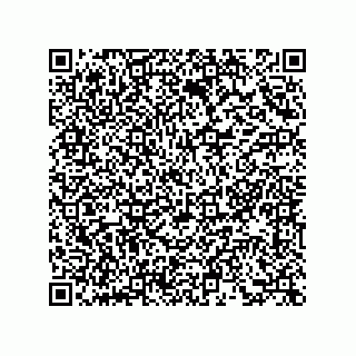 vCard 73855341331