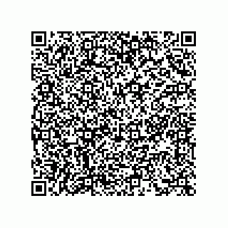 vCard 73855341333