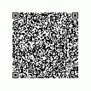 vCard 73855341334