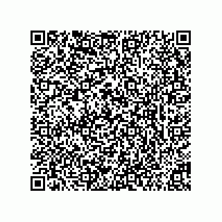 vCard 73855341353