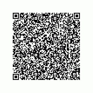 vCard 73855341379