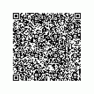 vCard 73855521333