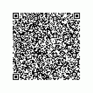 vCard 73855522111