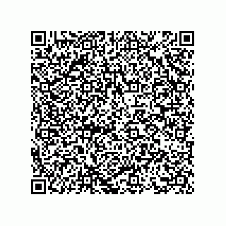 vCard 73855523328