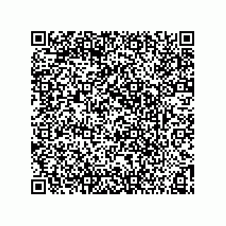 vCard 73855528329
