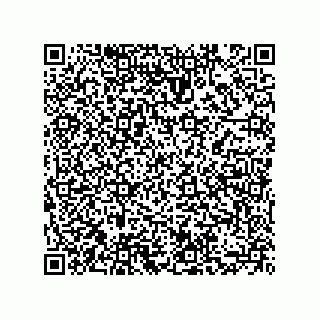 vCard 73855728803