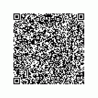 vCard 73855729127