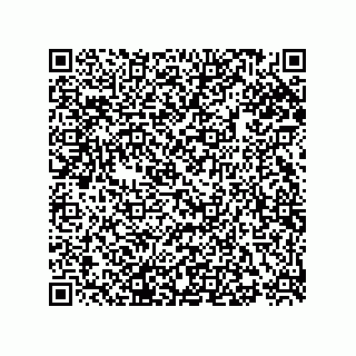 vCard 73855729133