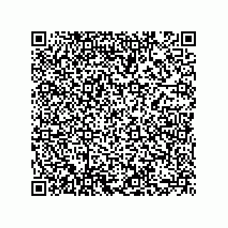 vCard 73855729203