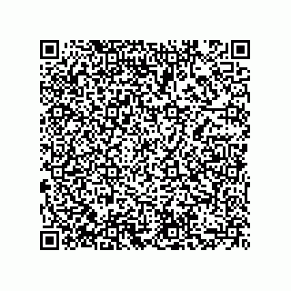 vCard 73855729217