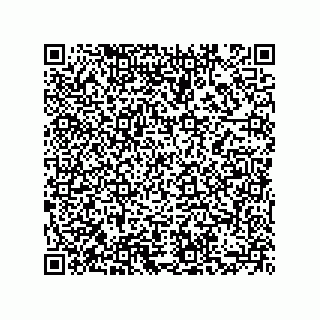 vCard 73855729248