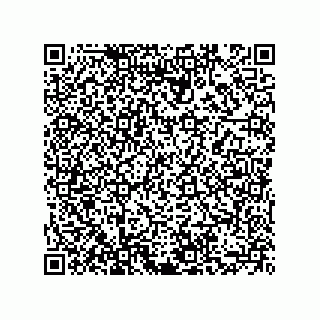 vCard 73855729280