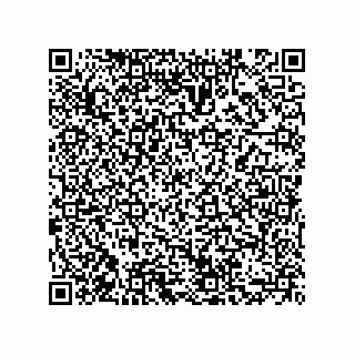 vCard 73855729281
