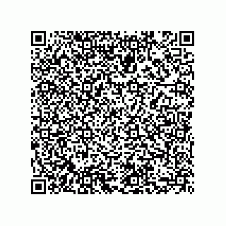 vCard 73855729285