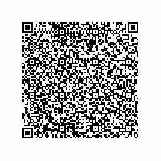 vCard 73855729296
