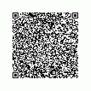 vCard 73855729300