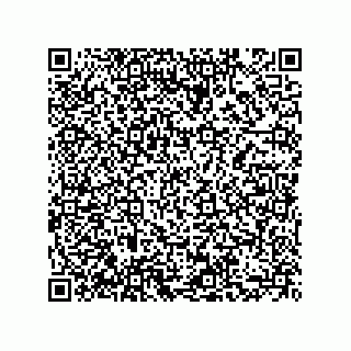 vCard 73855729310