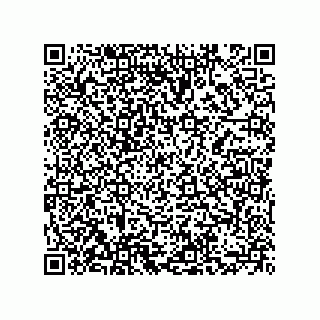 vCard 73855729311