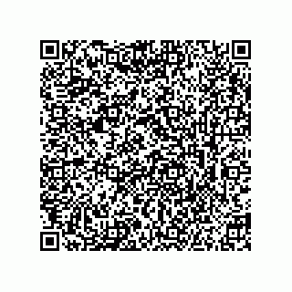 vCard 73855729313