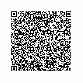 vCard 73855729317