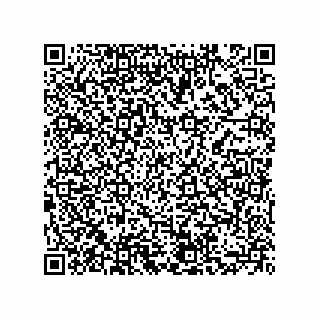 vCard 73855729321