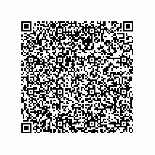 vCard 73855729333