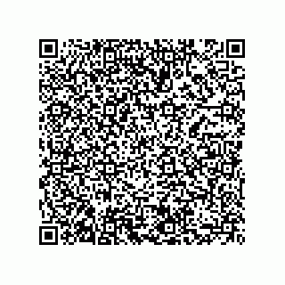 vCard 73855729335