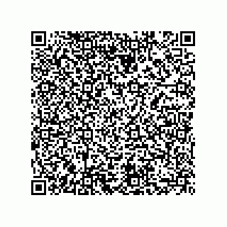 vCard 73855729371