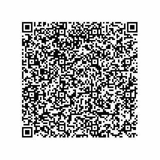 vCard 73855729381