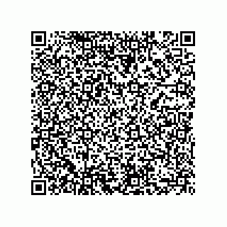vCard 73855729728