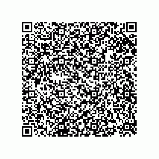 vCard 73855729733